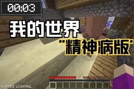 我的世界“精神病版”！