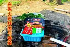 6块买了一盒白象火鸡拌面，到户外营地拌着吃，配上点香菜真香