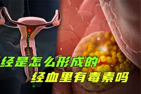 月经是怎么形成的？关于女生的小秘密，你了解多少？视频封面