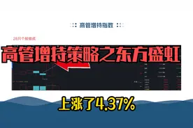高管增持策略之八，东方盛虹视频封面