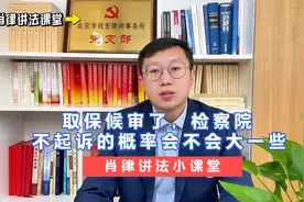 取保候审了，检察院不起诉的概率会不会大一些？视频封面