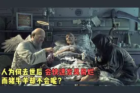 人也是动物，为何去世后会快速发臭腐烂，而猪牛羊却不会呢？视频封面