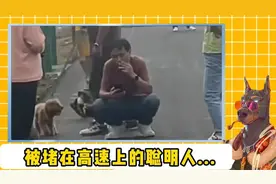 当代网友为了放假提前回家有多拼？#已经提前练习放假离开方式了