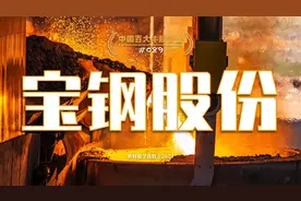 宝钢股份，全球领先的钢铁冶炼及加工企业视频封面
