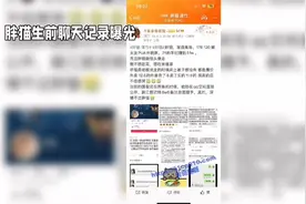 “肥猫”事件后续视频封面