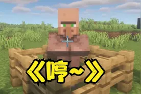 当你学会了村民的叫声...