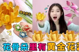 花骨朵里有“黄金花蕊”！放进水里泡一泡，就能长成变色金荷花？