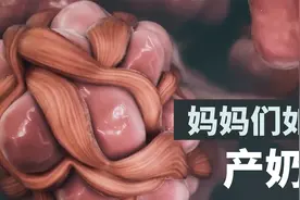 【3D系列】母乳是如何产生的？视频封面