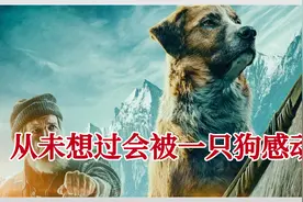 一只狗狗的成长故事，却让我感动的哇哇大哭视频封面
