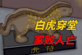 “白虎穿堂，家败人亡”，白虎指的是什么？很多人都不清楚视频封面