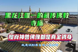 黑龙江唯一藏传佛教寺庙，屋脊神兽佛像都是真金镀身，不怕偷吗？视频封面