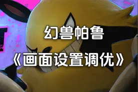 《幻兽帕鲁》画面设置，卡顿的帕总们可以参考一下哦