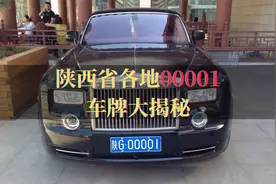 陕西省各地“00001”车牌大揭秘：哪辆车最吸睛？视频封面