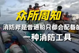 持枪菲律宾特种部队非法闯入我仁爱礁海域 被一斧子抡回去视频封面