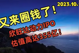 利好？欣旺达动力正式启动IPO，又来圈钱355亿！2亿散户无言以对视频封面
