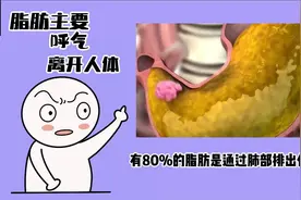 80%脂肪主要靠肺部排出人体