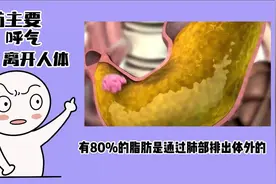 80%脂肪主要靠肺部排出人体视频封面