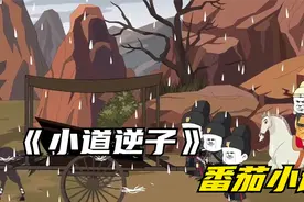 《小道逆子》番茄小说看后续，视频中的名字已经找不到