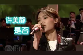 许美静《是否》| 针线情 1996视频封面