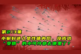 小蝌蚪进入女性体内后，没成功“受精”的小可怜都去哪里了？2