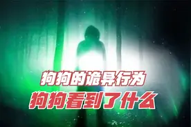 狗狗真可以看到常人看不到的东西吗？狗狗的怪异行为，细思极恐！视频封面