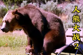 人熊大战 - 挑战者为了获得超级人类称号，前来和灰熊比蛮力！视频封面