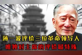 薄一波4个字评价刘少奇，评价彭德怀3句话，唯独评价主席最特殊视频封面