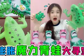 变形青蛙里有“泡大魔蛙”！放进水里一个月，竟然长大了100倍视频封面