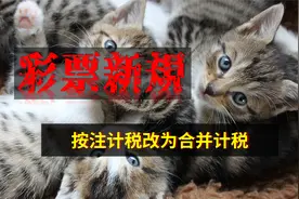 彩票计税新规，按注计税改为合并计税视频封面