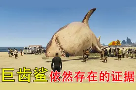 盘点巨齿鲨依然存在的证据，有人在深海发现了巨齿鲨的踪迹