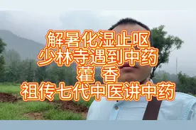 解暑化湿止呕，少林寺遇到的中药——藿香，祖传七代中医讲中药视频封面