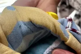 宝妈称月子会所送的枕头惊现活虫 会所：协商好后家长变卦要3万视频封面