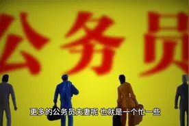 夫妻俩都是公务员的家庭过得怎么样？视频封面