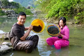 河里开闸放水，阿琪跟美女比赛捡石螺，密密麻麻捡到手软，真过瘾视频封面