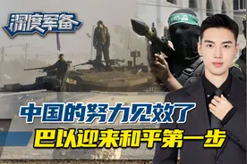 中国努力见效，金砖国家发挥重要作用，巴以决定停火，新时代来临视频封面