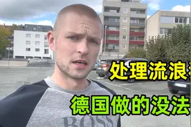 该怎么处理流浪狗？在德国市中心逛一圈，这方面做的还真有一套！