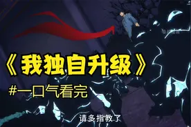 爆肝84684分钟我独自升级一口气看完暗影君王的成长历程