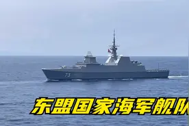 全是南海周边国家！来看看东盟海军舰队阅舰式视频封面