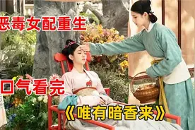女主穿越过去，逆天改命！！一口气看完《唯有暗香来》视频封面