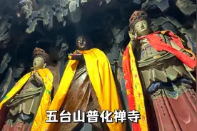 五台山普化禅寺，一座道教改佛教的佛道合一寺观，内有小猫可领养