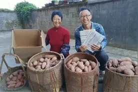 保存红薯就这么简单，一个纸箱几张报纸就搞定，放一年也不容易坏