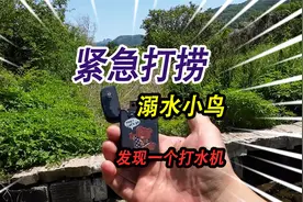 小河里紧急打捞溺水小鸟，石头下竟然发现，像打火机一样的打水机视频封面