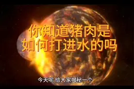 你知道猪肉是如何打进水的吗视频封面