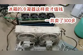 冰箱的冷凝器这样卖才值钱，一下卖了好几百，长见识了视频封面
