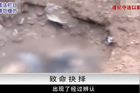 53岁老阿姨跟她的8个男友#真实案件 #奇闻奇事 #大案纪实视频封面