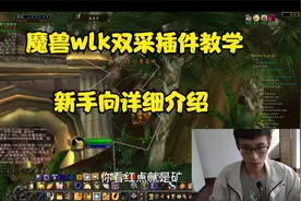 魔兽wlk新手双采插件使用教学，手把手详细介绍雷达插件配置