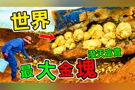 破天富贵！出门闲逛竟意外发现“巨大金块”，被称为史上最大金块视频封面