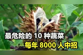 世界上最毒的10种蔬菜，餐桌上随处可见，一口就可能要了命视频封面