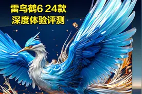 【雷鸟鹤6 24款】百级分区电视评测视频封面
