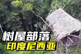 居住在50米高树屋，树屑提取物当主食，印度尼西亚科罗威部落揭秘